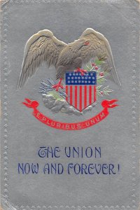 US Patriotic 1907 Union Now and Forever Eagle Novelty embossed postcard B986
