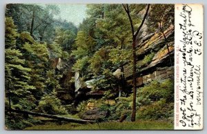 Horse Shoe Canyon  Starved Rock  Illinois   Postcard  1909