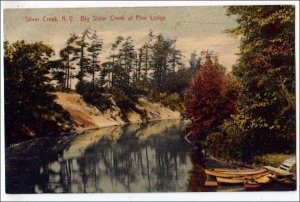 NY - Silver Creek. Big Sister Creek at Pine Lodge