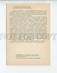 3094263 SEA LIFE Commutator riser SHELL Old Russian Card