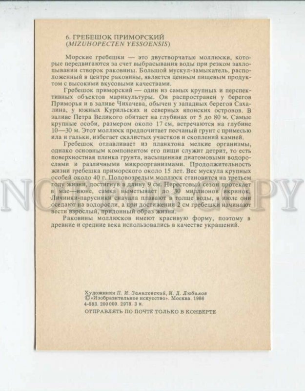 3094263 SEA LIFE Commutator riser SHELL Old Russian Card