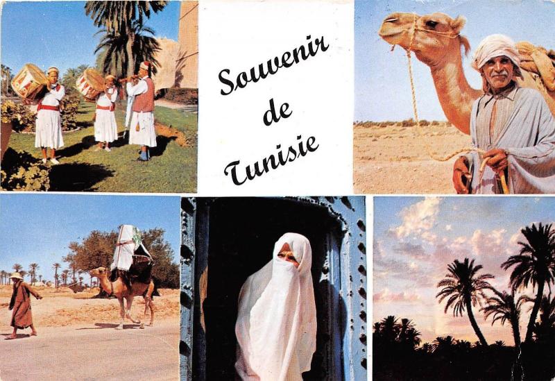 BG21036 camel types folklore  tunisia