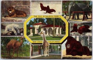 VINTAGE POSTCARD THE BALBOA PARK SAN DIEGO ZOO GARDENS MAILED ON BOARD USS NOBLE