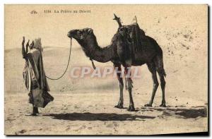 Old Postcard The Prayer at Desert Camel