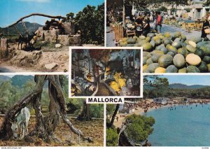 MALLORCA, Islas Baleares, Spain, 1950-1960s; Various Views Of Mollorca Island