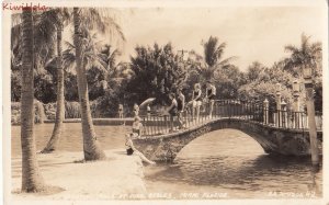 Postcard RPPC Venetian Pools at Coral Gables Miami FL