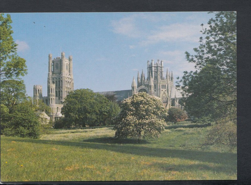 Cambridgeshire Postcard - Ely Cathedral From The Park    T6986