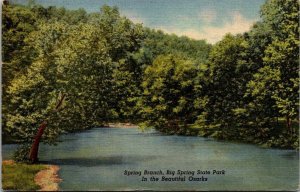Vintage Missouri Postcard - Ozarks - Spring Branch - Big Spring State Park