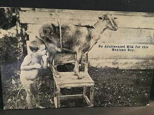 Postcard RPPC No Adulterated Milk for this Mexican Boy    T3