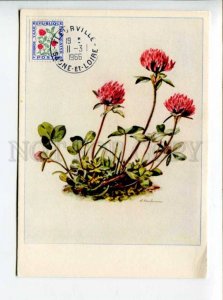 422285 FRANCE 1966 Flower taxe special stamp Postage meter maximum card