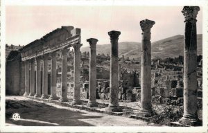 Algeria Djemila Le Portique Ouest du Temple Septimien RPPC 07.04