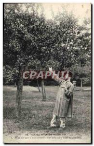 Postcard Old Farmer apples Normandy Folklore