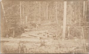 Lumbering on Alberta River AB Alta Trees Forestry Unused RPPC Postcard H42