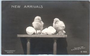 RPPC  NEW ARRIVALS  Baby Chicks  ROTOGRAPH  1906  UDB  Postcard 