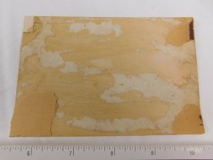 1879 Lovely Winter Christmas Girls With Dolls Victorian Trade Card F49