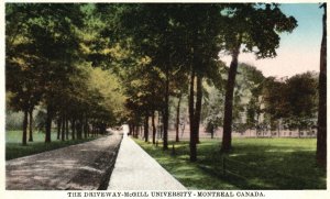 Quebec Canada, 1910's The Driveway McGill University Montreal Vintage Postcard