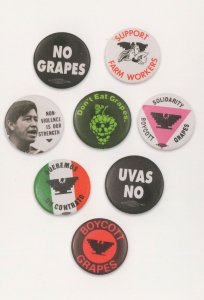 Boycott Grapes Farmers Protest Farming Strike Badge Button Postcard