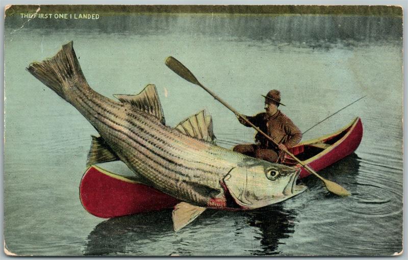 FISHING EXAGGERATED ANTIQUE POSTCARD FIRST ONE I LANDED