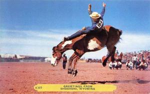 Shoshoni Wyoming Rodeo Scene Vintage Postcard J78874