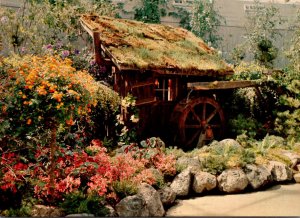 Canada Vancouver Queen Elizabeth Park Bloedel Conservatory Miner's Cabin