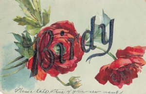 A Name Called Birdy With Flowers Greetings Old Postcard