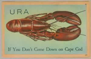 West Harwich, Massachusetts to Biddeford, Maine 1949 Cape Cod Lobster Postcard