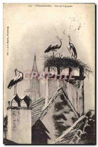 Postcard Old Strasbourg Storks Nest