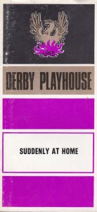 Suddenly At Home Francis Durbridge 1970s Derby Playhouse Theatre Programme