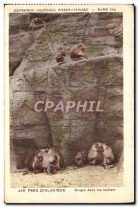 Postcard Old Monkey 1931 Paris International Colonial Exposition Zoo Monkeys ...