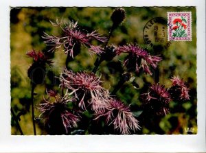 422283 FRANCE 1966 Flower taxe special stamp Postage meter maximum card