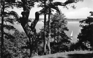 BG15366 goyatz blick kleinen schwielochsee  germany CPSM 14x9cm