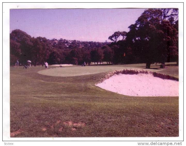 Golf Course , Warringah Public Course, N.S.W/ , Australia , 50-70s
