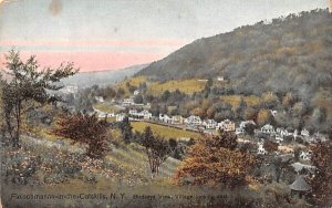 Bird's Eye View in Fleischmanns, New York