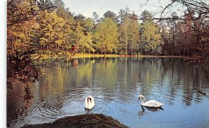 Mirror Lake at Berry Academy Georgia, USA Unused 