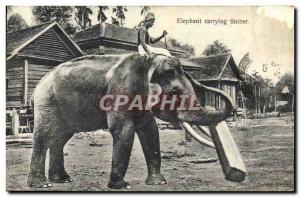 Old Postcard Sri Lanka Elephant carrying Timber