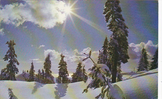 Winter Wonders North Shore Mountains British Columbia Canada
