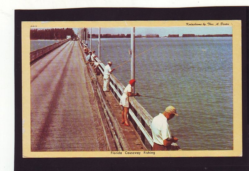 P1597 vintage unused postcard people fishing florida causeway