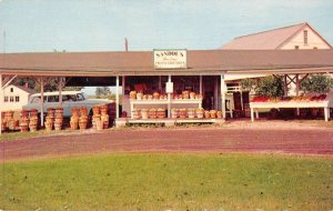 Biglerville Pennsylvania Sandoe's Fruit Market Vintage Postcard AA41736