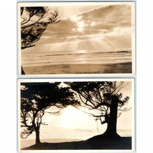 x2 LOT c1910s Beautiful Sunset Rays RPPC Amateur Photography Ocean Tree Sun A175