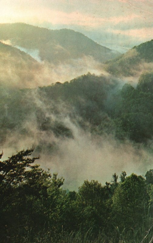 Vintage Postcard 1971 Early Morning Mists Great Smoky Mountains National Park