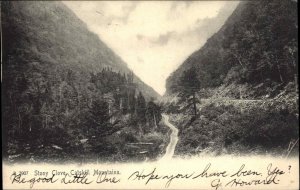 Catskills New York NY Stony Clove Bird's Eye View c1910 Vintage Postcard