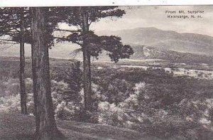 New Hampshire Kearsarge From Mt Surprise Albertype