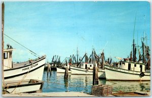 M-21962 Shrimp Boats resting snugly in a harbor at Key West Florida