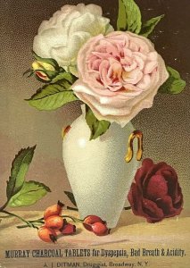 Quack Medicine Murray Charcoal Tablets AJ Ditman Druggist NY Vase Flowers