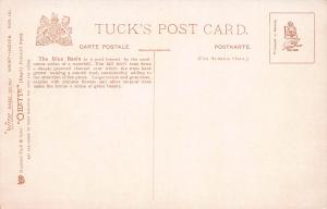 Trinidad, Blue Basin, Early Tuck's Oilette Postcard, Unused