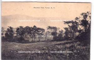 Mountain View, Turner NY