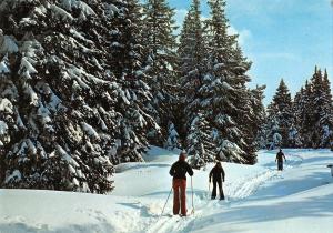 BT12555 Les joies du ski de fond sport