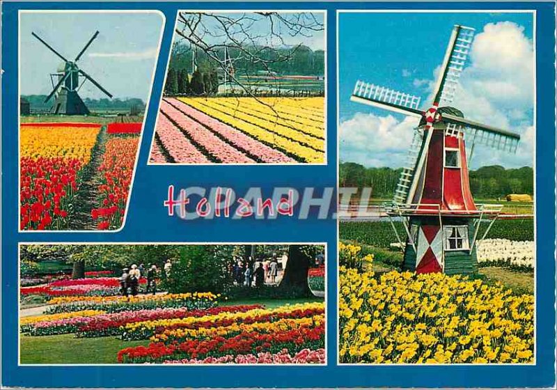 Modern Postcard Holland in Flower decoration