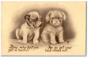 1911 Bulldog Dog Haired Pets Animals Why Don't You Get A Haircut Posted Postcard