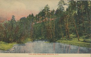 GREENVIILE , South Carolina , 1900-10s ; Reedy River View